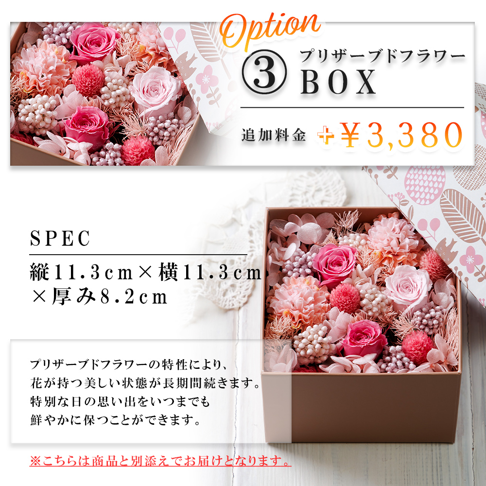 有料オプションについて