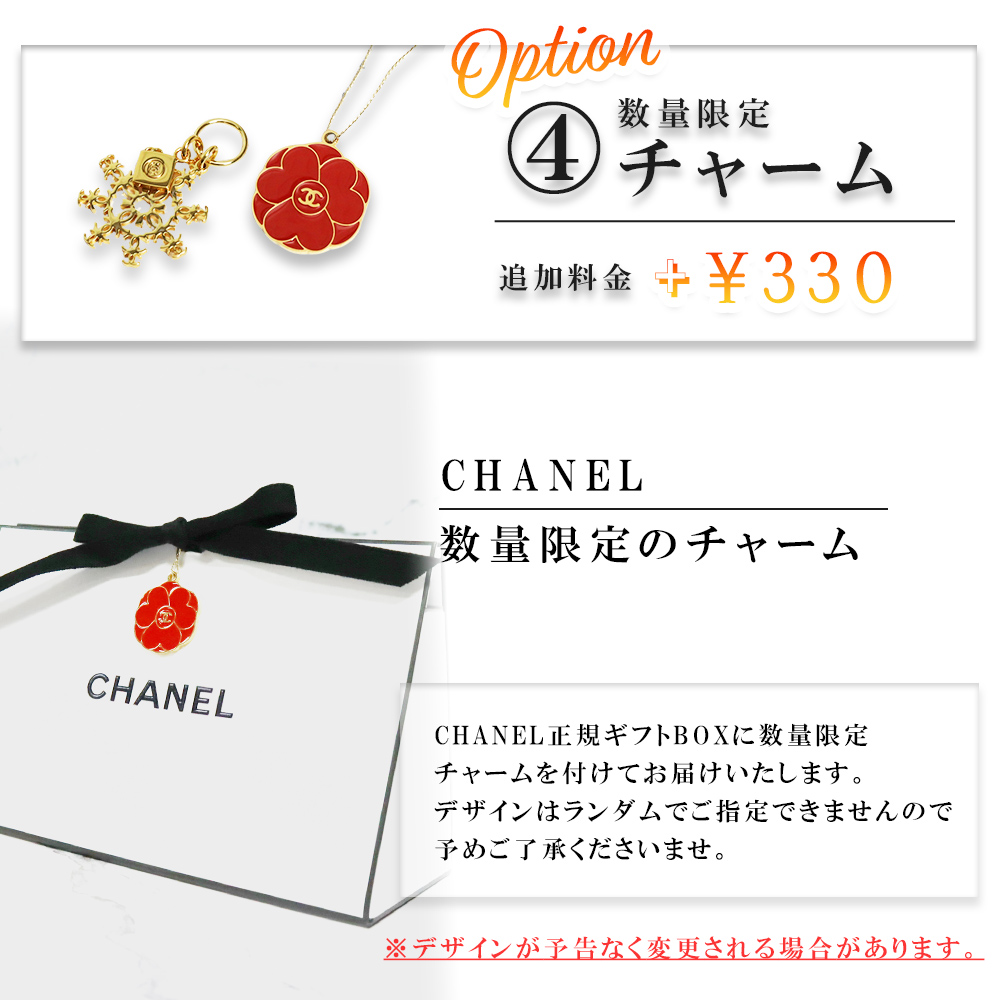 有料オプションについて