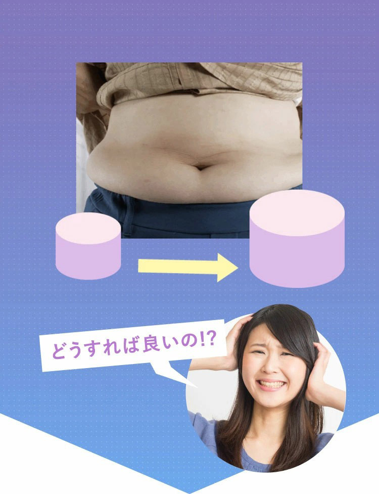 Taisya タイシャ 90粒 機能性表示食品 代謝 冷え 脂肪 ダイエット