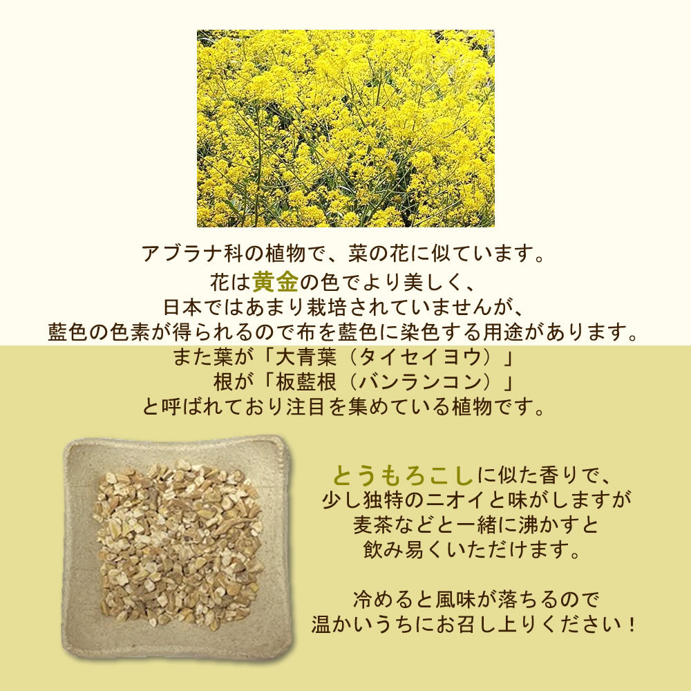 板藍根画像1|ヴィーナース