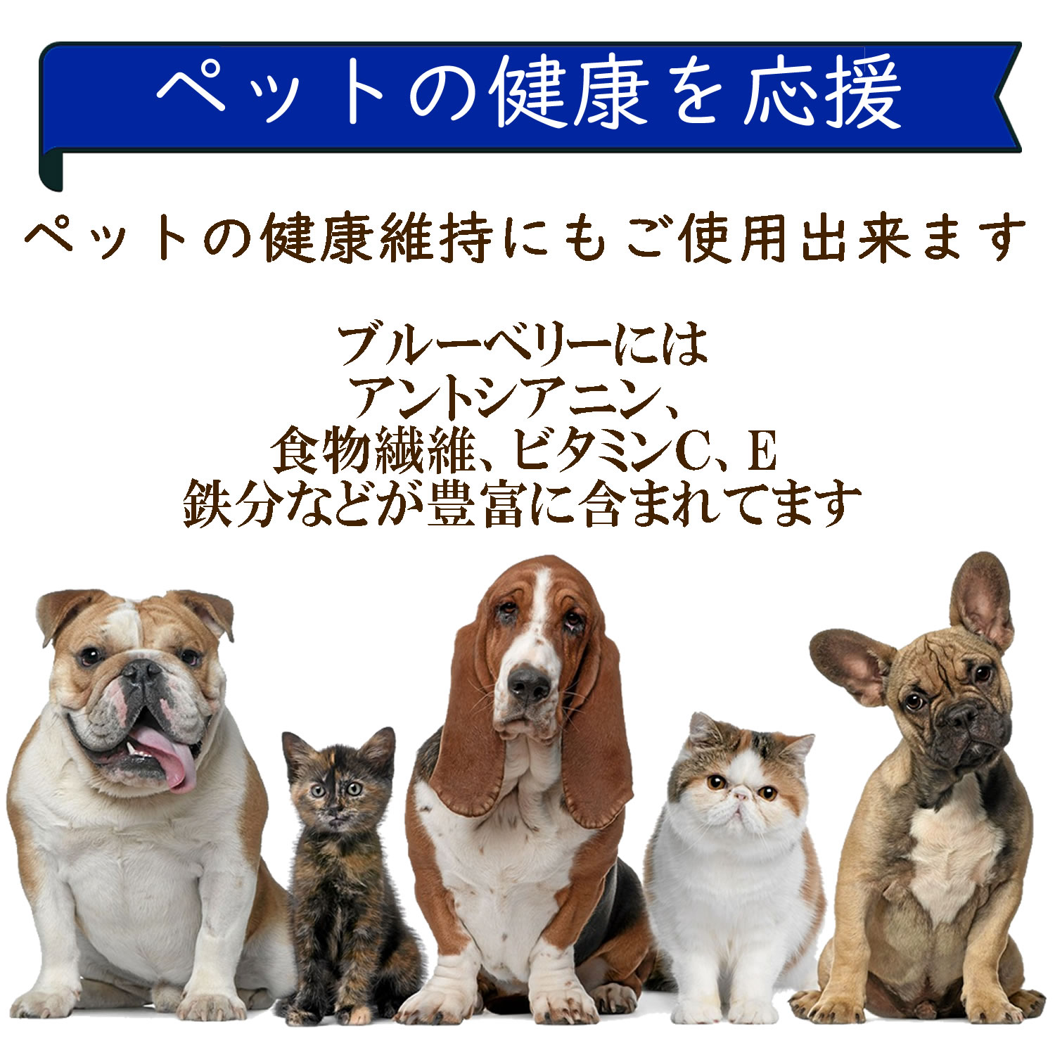 ペットにも使えるブルーベリーパウダー｜ヴィーナース