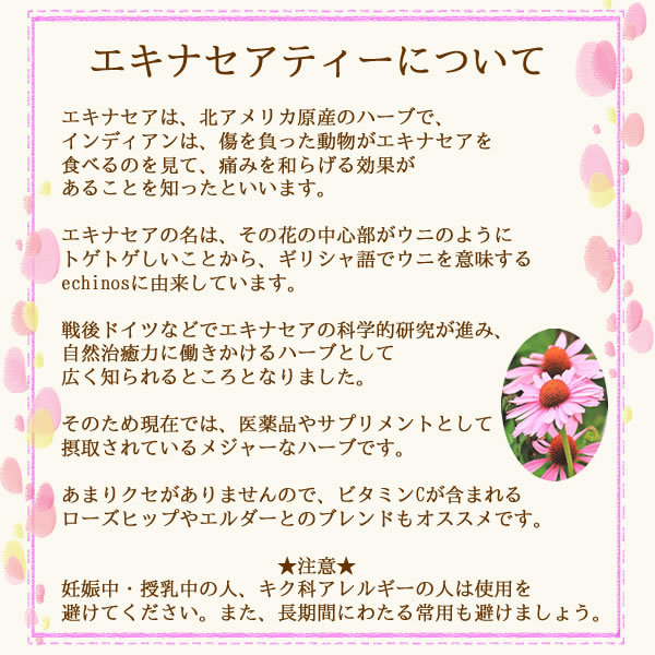 エキナセアティーについて｜美と健康のヴィーナース