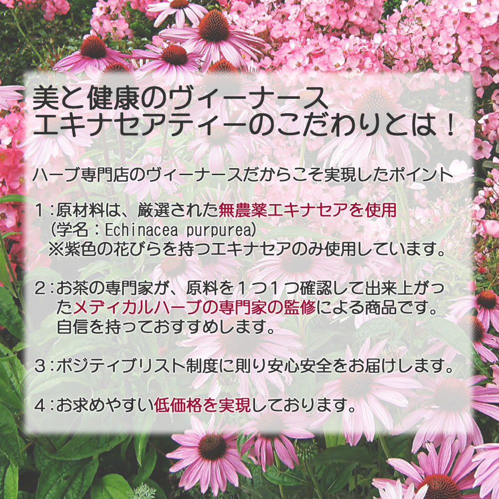 エキナセアティーのこだわり｜美と健康のヴィーナース