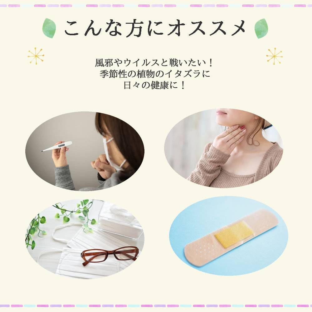 エキナセアティーはこのような方におすすめです｜美と健康のヴィーナース