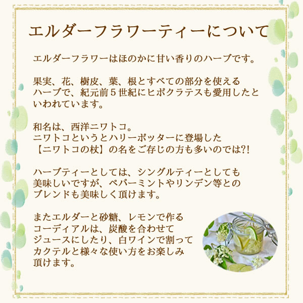 ヴィーナース｜エルダーティーについて