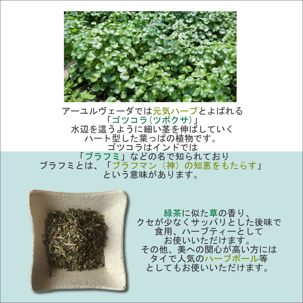 画像1｜ヴィーナース