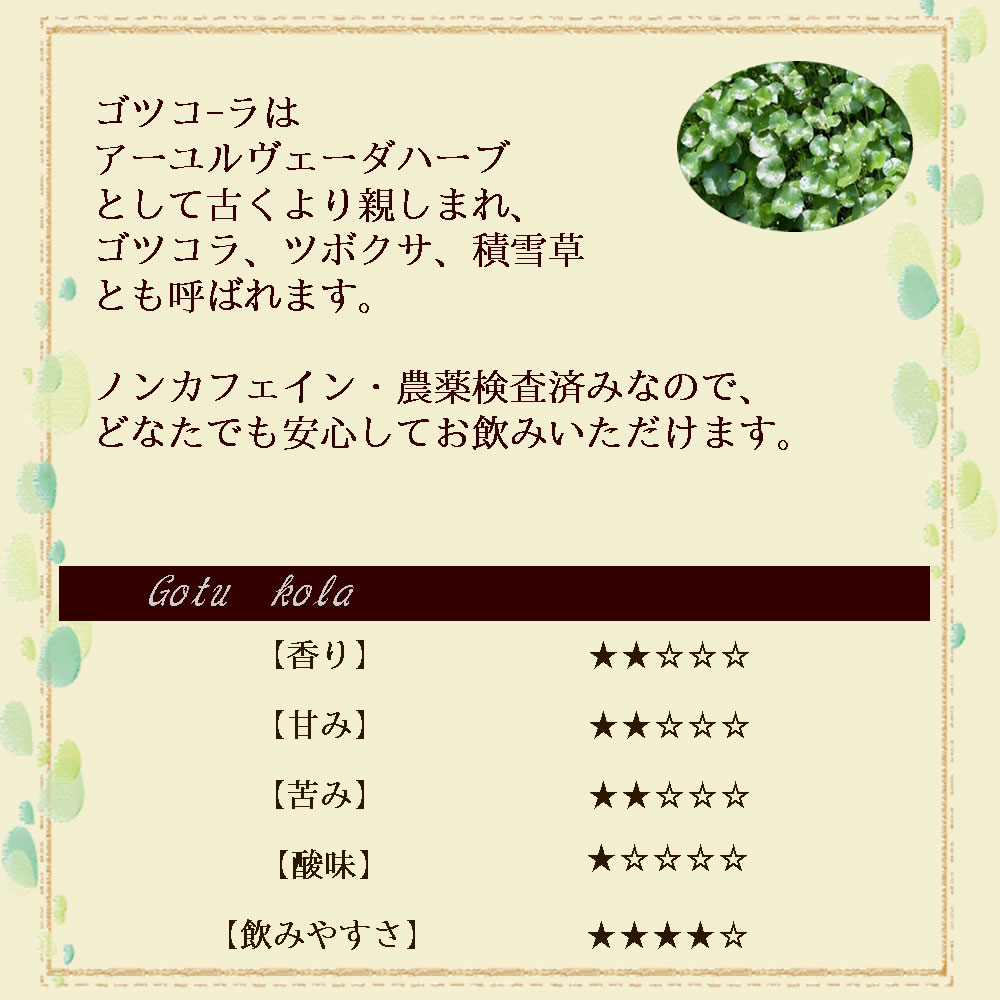 ゴツコーラの味の説明｜ヴィーナース