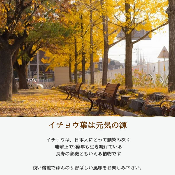 イチョウ葉茶は元気の源｜ヴィーナース