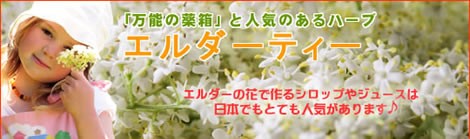 エルダーフラワーは、万能の薬箱ともいわれる欧米で親しまれているハーブ|美と健康のヴィーナース