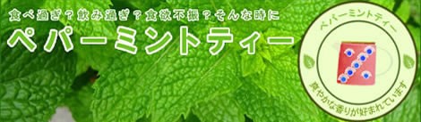 ペパーミントは、健胃薬にも使われるつわり対策にも!|美と健康のヴィーナース