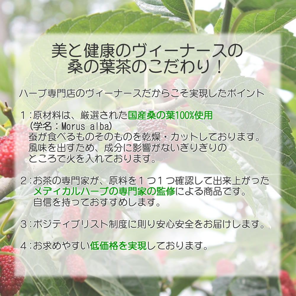 桑の葉茶（マルベリー）のこだわり｜ヴィーナース