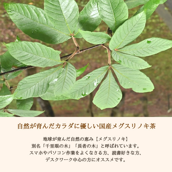 メグスリノキは自然の恵み｜ヴィーナース