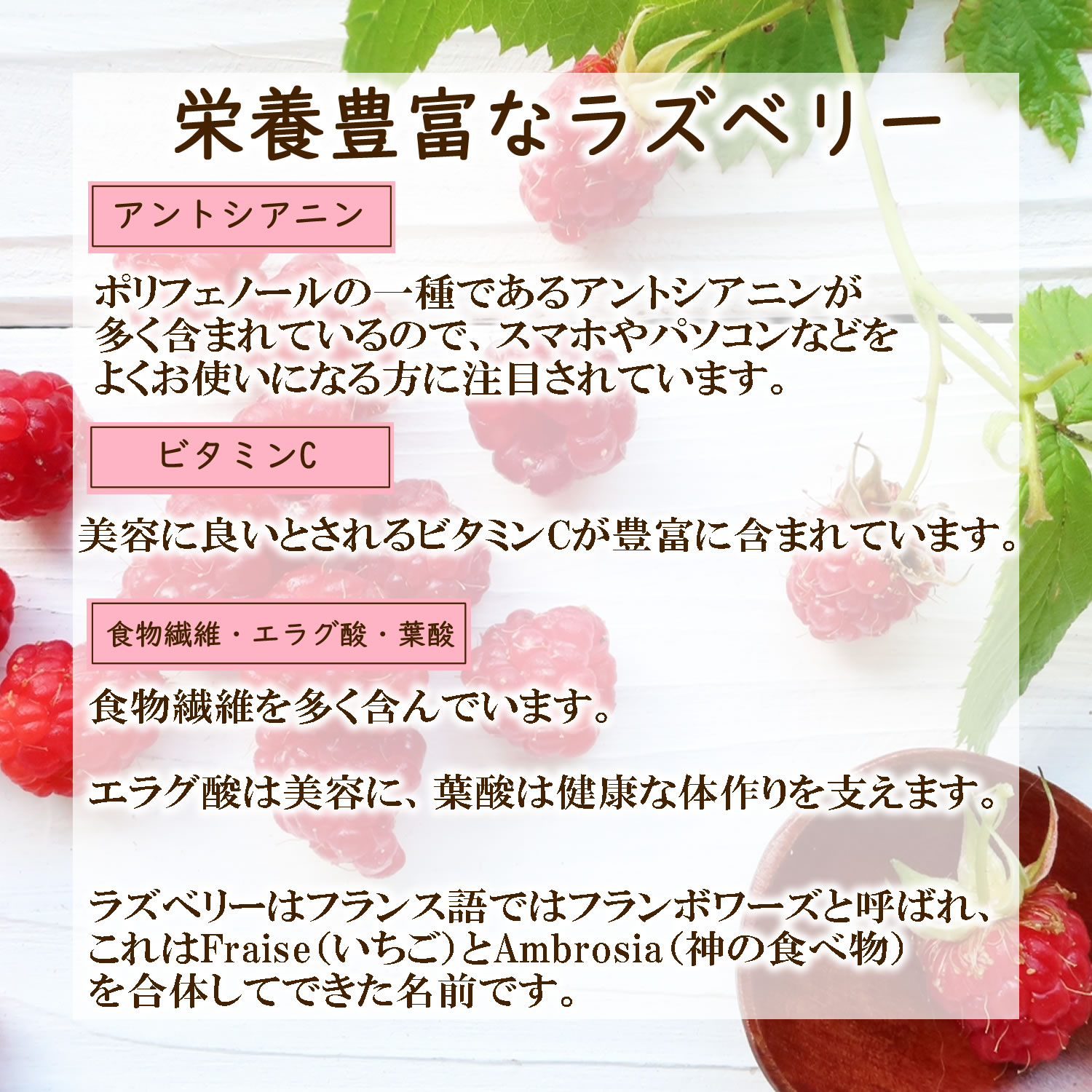 栄養豊富なラズベリー|ヴィーナース