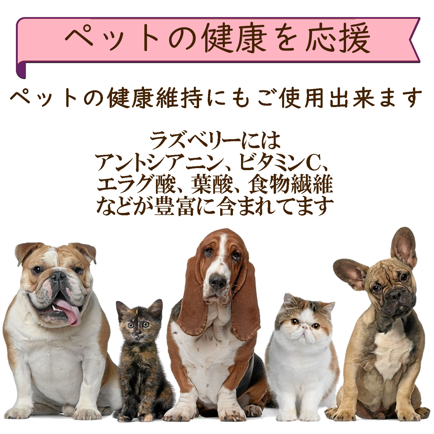ペットにも使えるラズベリーパウダー|ヴィーナース