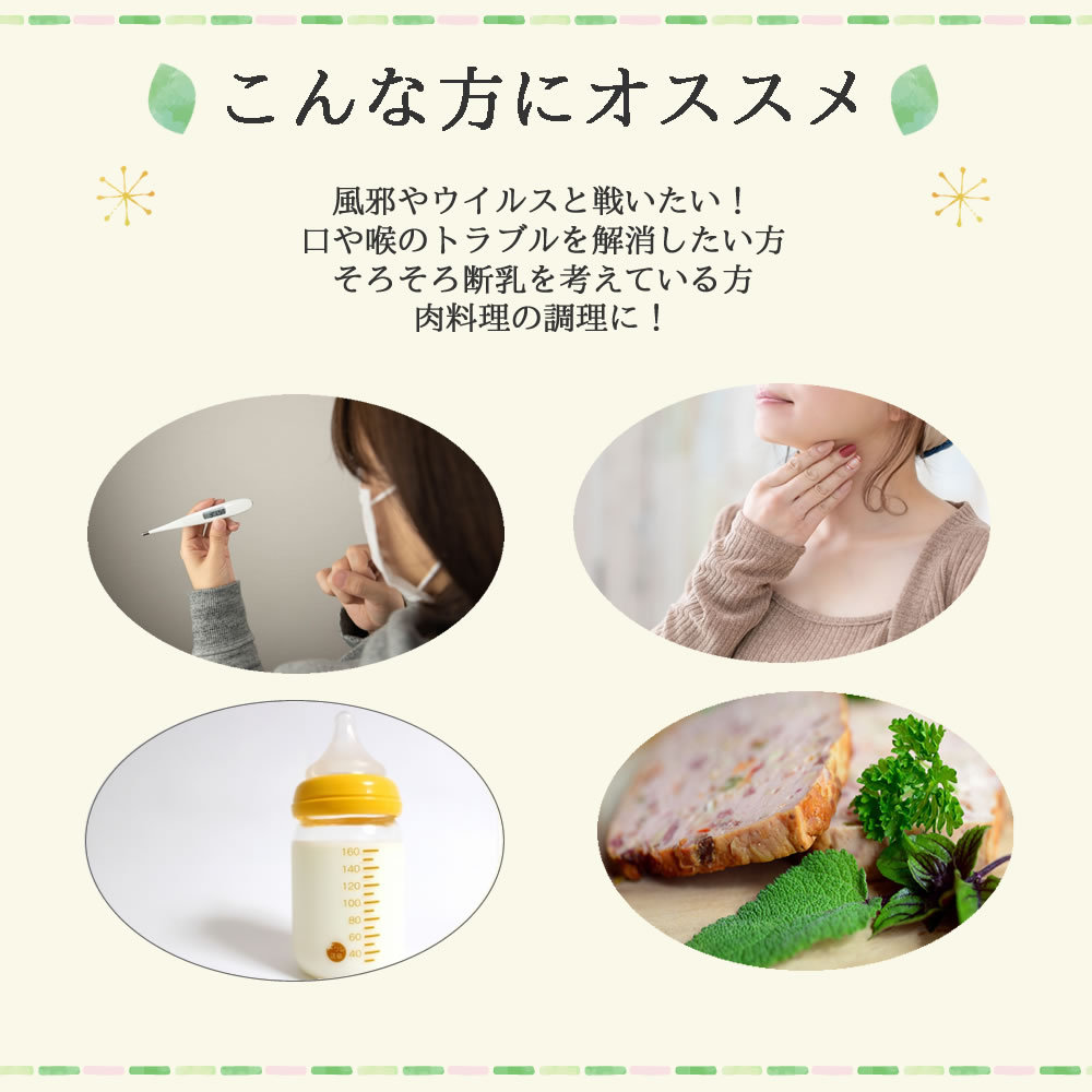 ヴィーナース｜セージティーはこんな方にオススメ