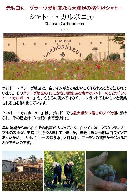 2019 シャトー カルボニュー ブラン 750ml グラーヴ特別級 白ワイン