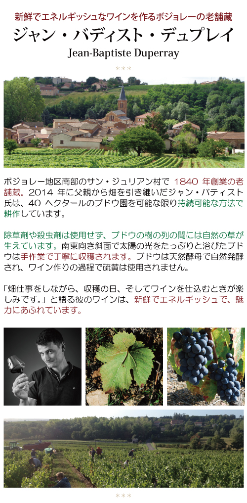 C 2025 ボジョレー ヌーヴォー V.V. 裏ラベルしわ 750ml ジャン