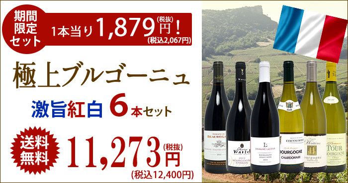 ワイン ワインセット ブルゴーニュ激旨紅白6本セット 赤3本＆白3本