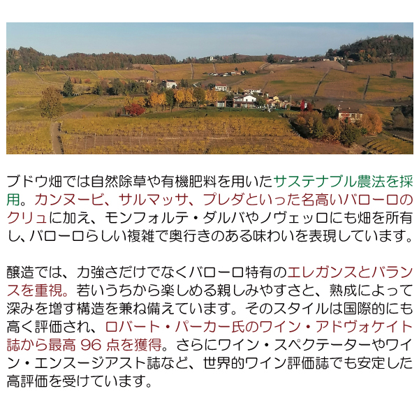 よりどり6本で送料無料 2017 バローロ サルマッサ 750ml ヴィルナ ボルゴーニョ イタリア 赤ワイン コク辛口 ワイン ^FAVBSS17^