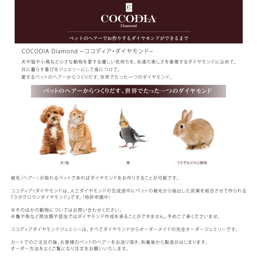 PT900 ダイヤモンド リング