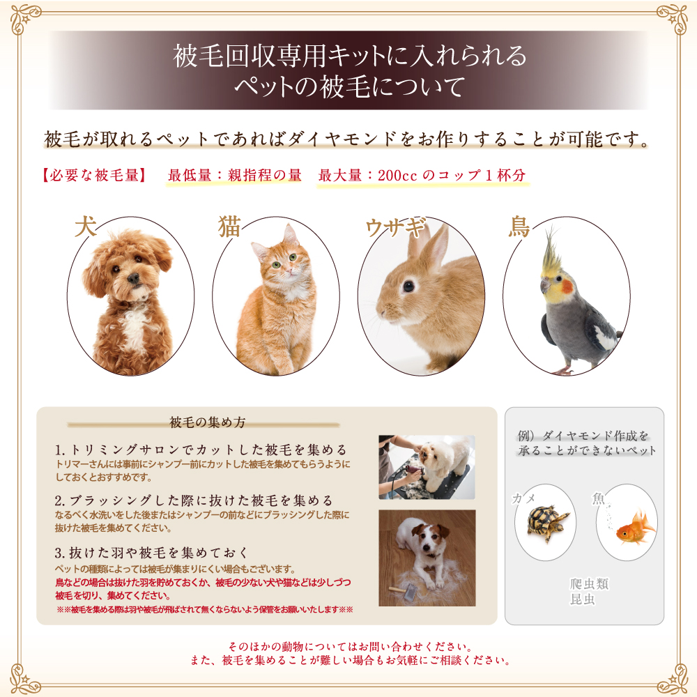 PT900 ダイヤモンド リング