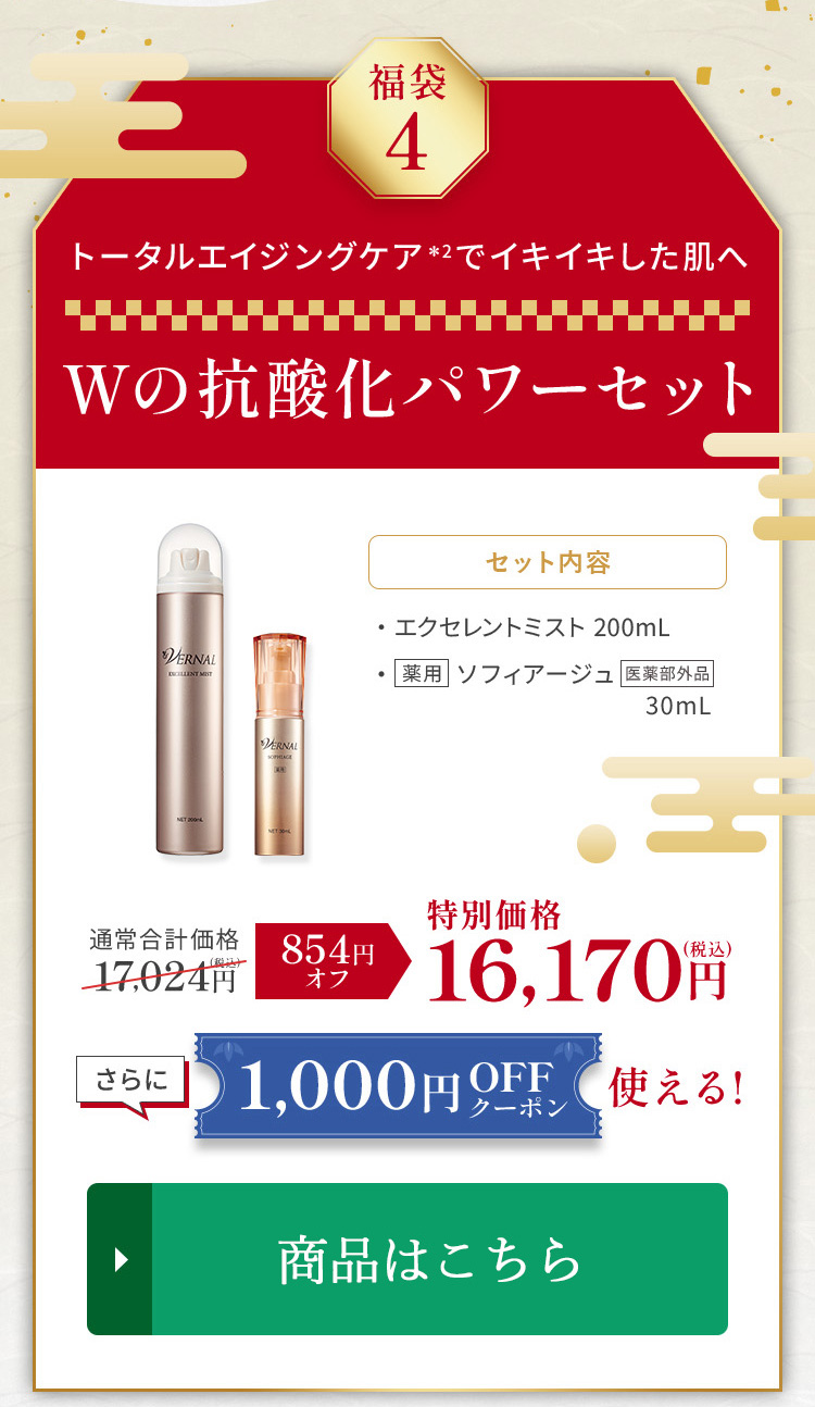 VERNAL（ヴァーナル） 【福袋】Wの抗酸化パワーセット 化粧水 美容液