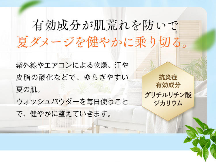 薬用]ウォッシュパウダー 30包 洗顔 パウダー 酵素 毛穴 洗顔 角質 角栓 黒ずみ ヴァーナル : 10339 : ヴァーナル Yahoo!店 -  通販 - Yahoo!ショッピング