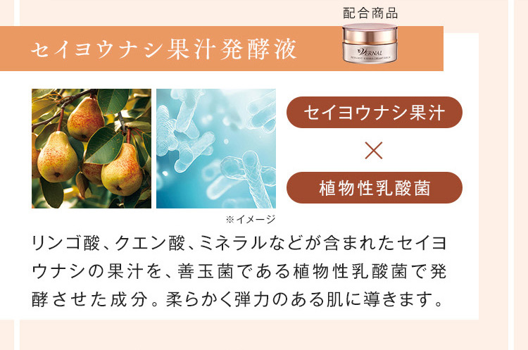 VERNAL（ヴァーナル） キハナクリーミーセラム 30g 保湿 エイジング