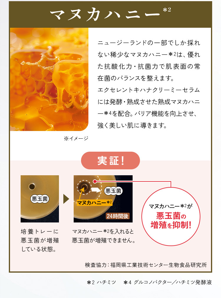 VERNAL（ヴァーナル） エクセレントキハナクリーミーセラム 30g