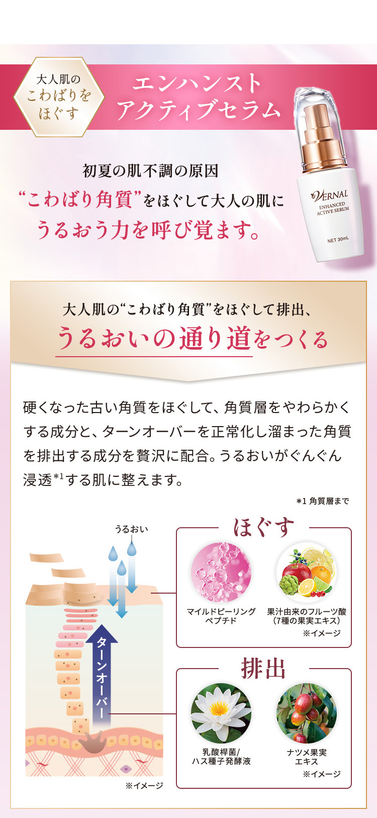 VERNAL（ヴァーナル） 夏の透明やわ肌応援セット 酵素洗顔 導入美容液