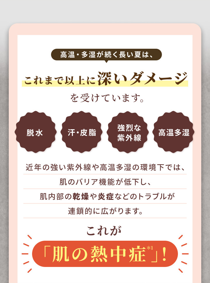 ヴァーナルYahoo!店
