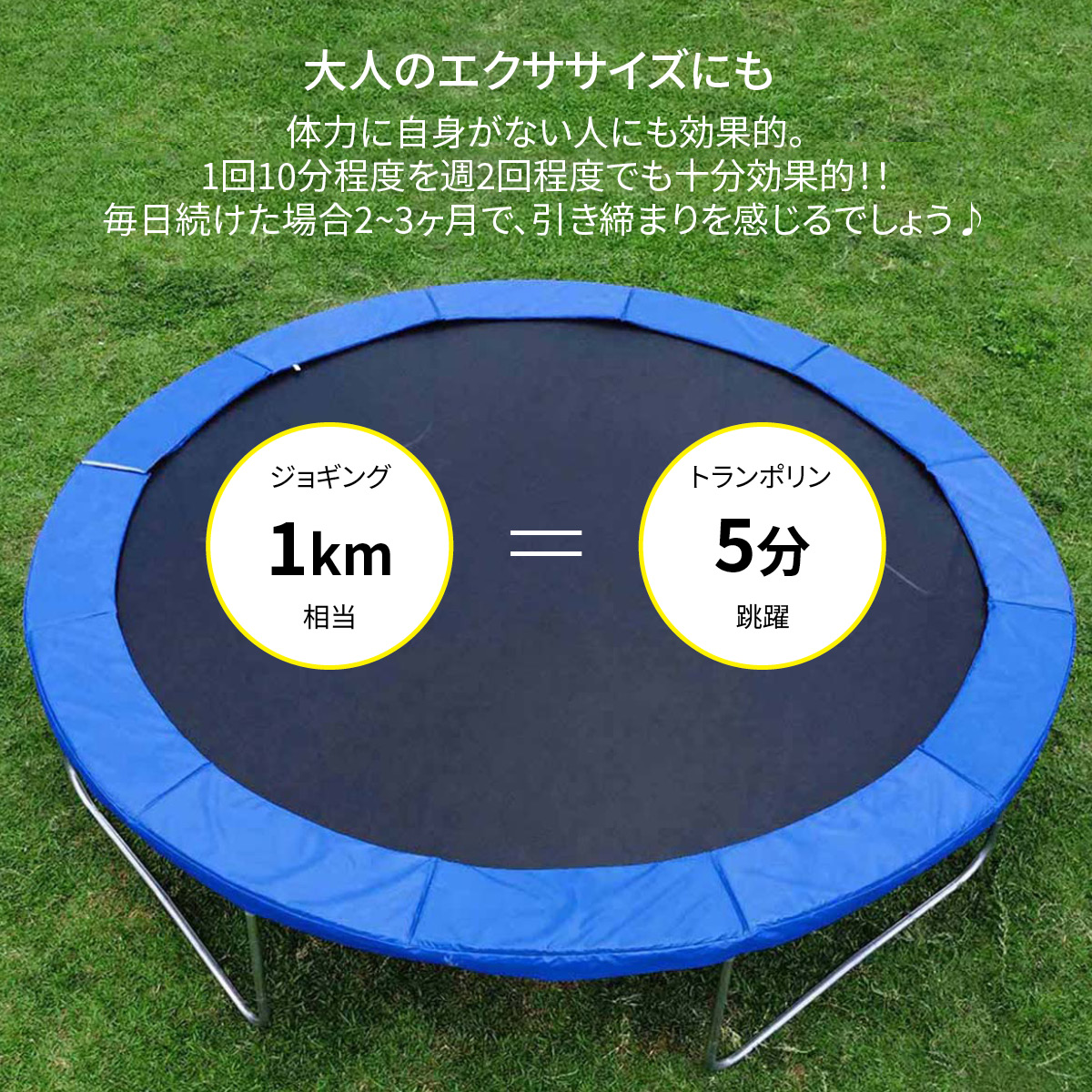 45731341263_4.jpg