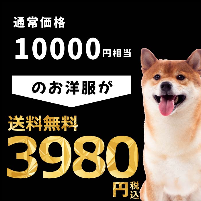 VERY 犬服 送料無料 小型犬 冬服8枚入り 福袋 1万円相当が3980円 冬物