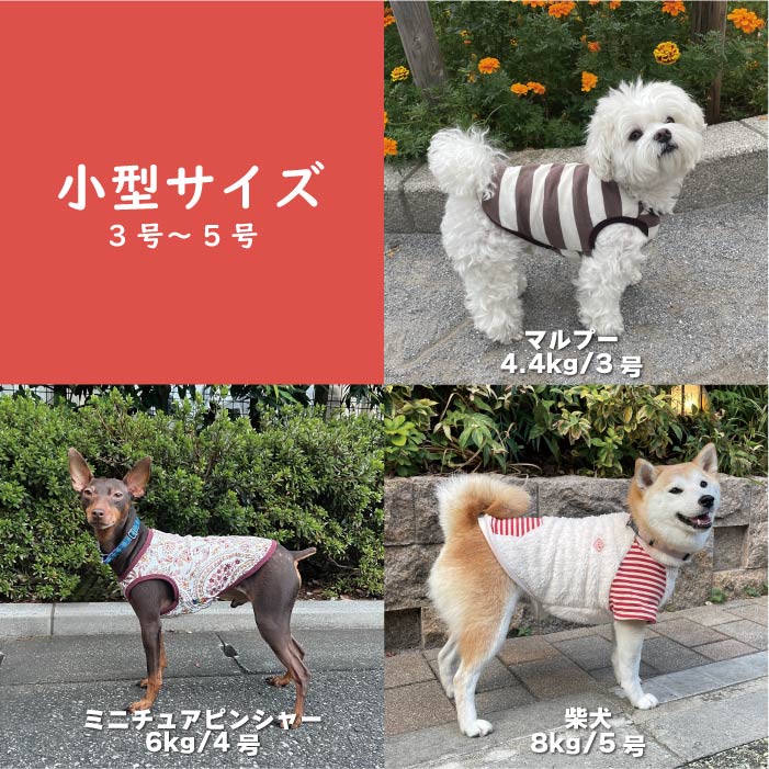 VERY 犬服 送料無料 小型犬 冬服8枚入り 福袋 1万円相当が3980円 冬物