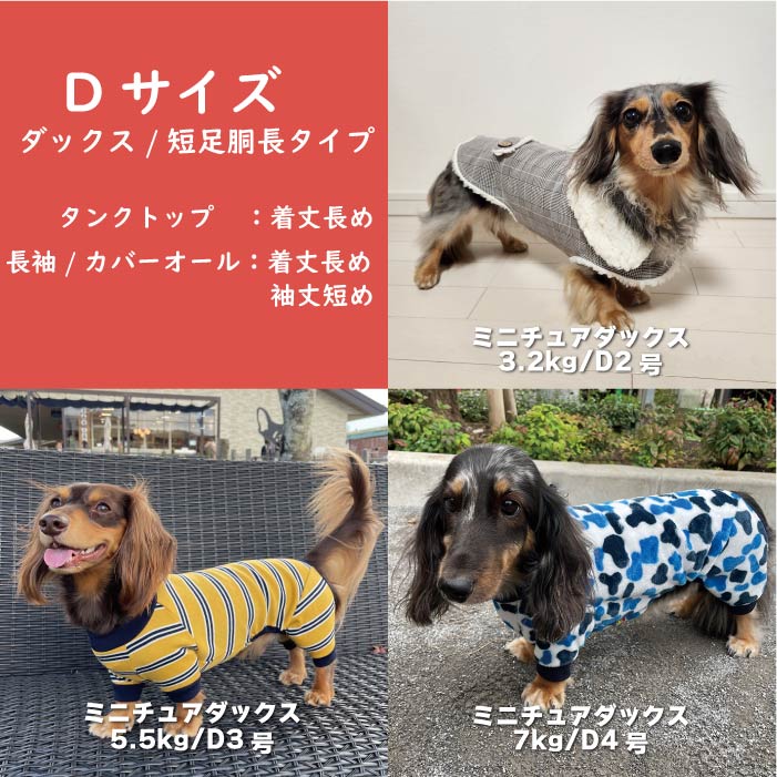 VERY 犬服 送料無料 小型犬 冬服8枚入り 福袋 1万円相当が3980円 冬物