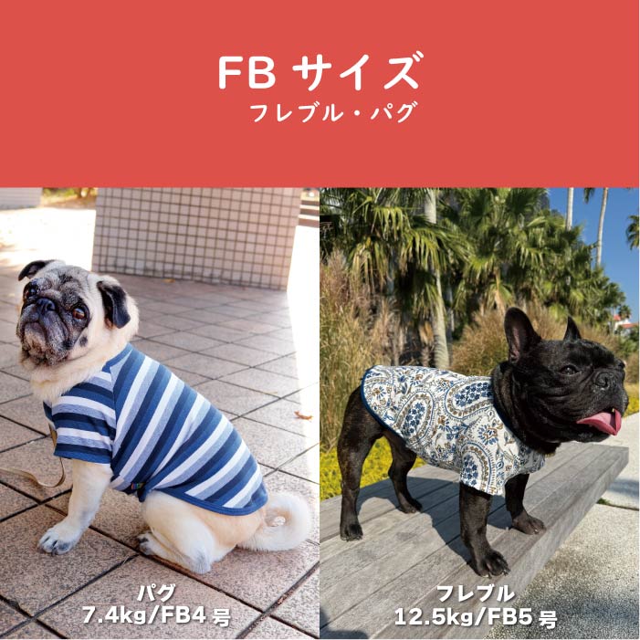 VERY 犬服 送料無料 小型犬 冬服8枚入り 福袋 1万円相当が3980円 冬物