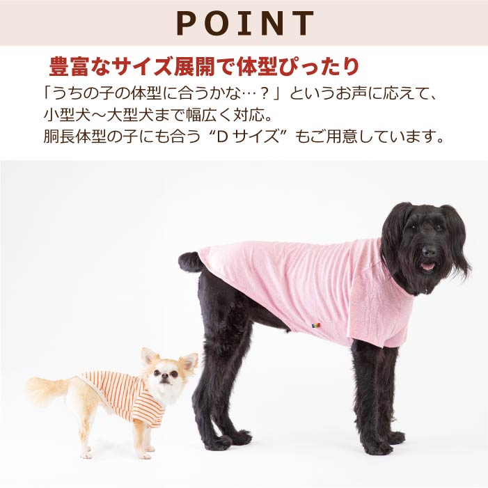 商品平置き画像