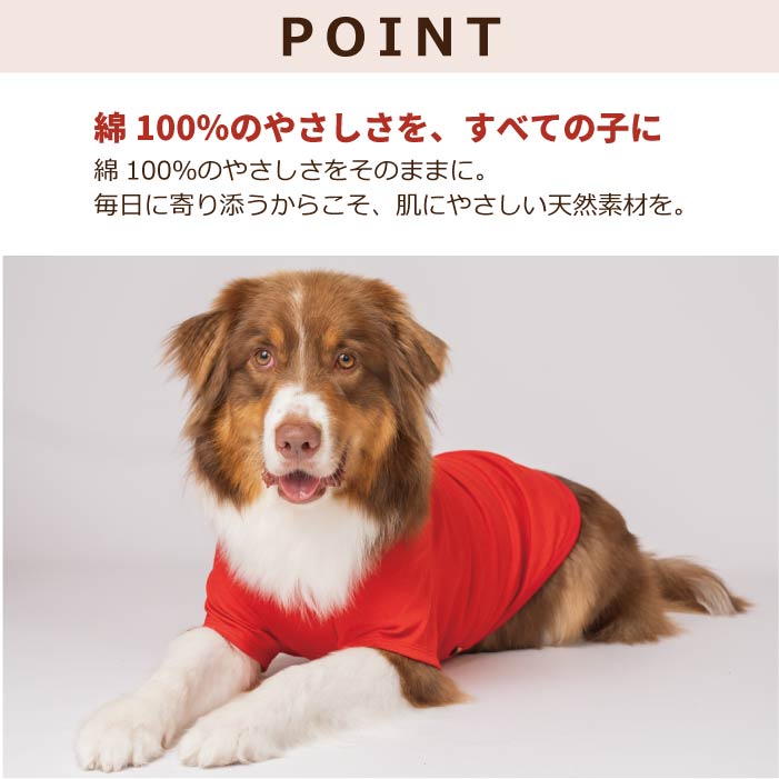 犬服 VERY コットンTシャツ 大型犬 春夏 秋冬 ブランド おしゃれ