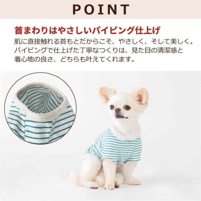 犬服 VERY コットンTシャツ 中型犬 コーギー 春夏 秋冬 ブランド