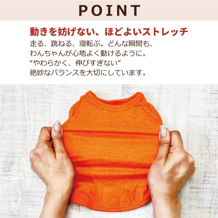 商品平置き画像