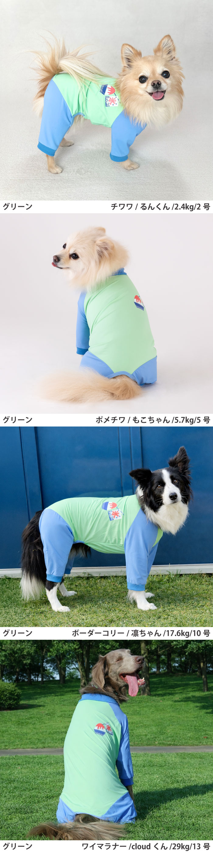 犬服 3S わんこの普段着　青いちご VERY 犬服 夏服 ひんやり 接触冷感 光る プリント クールロンパース