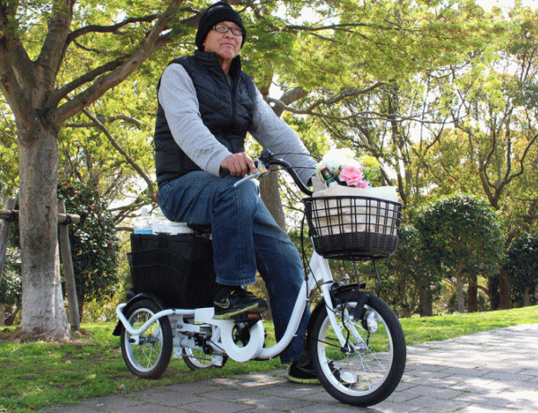 ミムゴ 自転車 三輪自転車 ロータイプ 三輪車 大人用 スイング機能