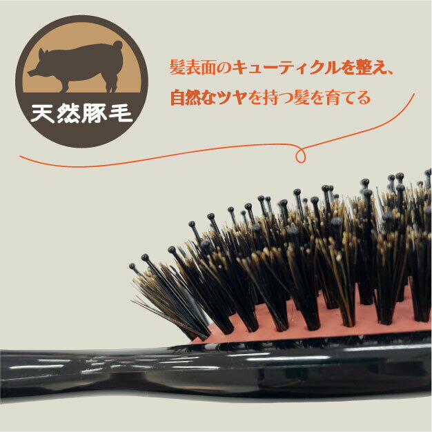 新品未使用　パウダーブラシ　天然毛　螺鈿 SEN-705 R セデュウス ブラッシングブラシ ( 1本入 ) : 爽快