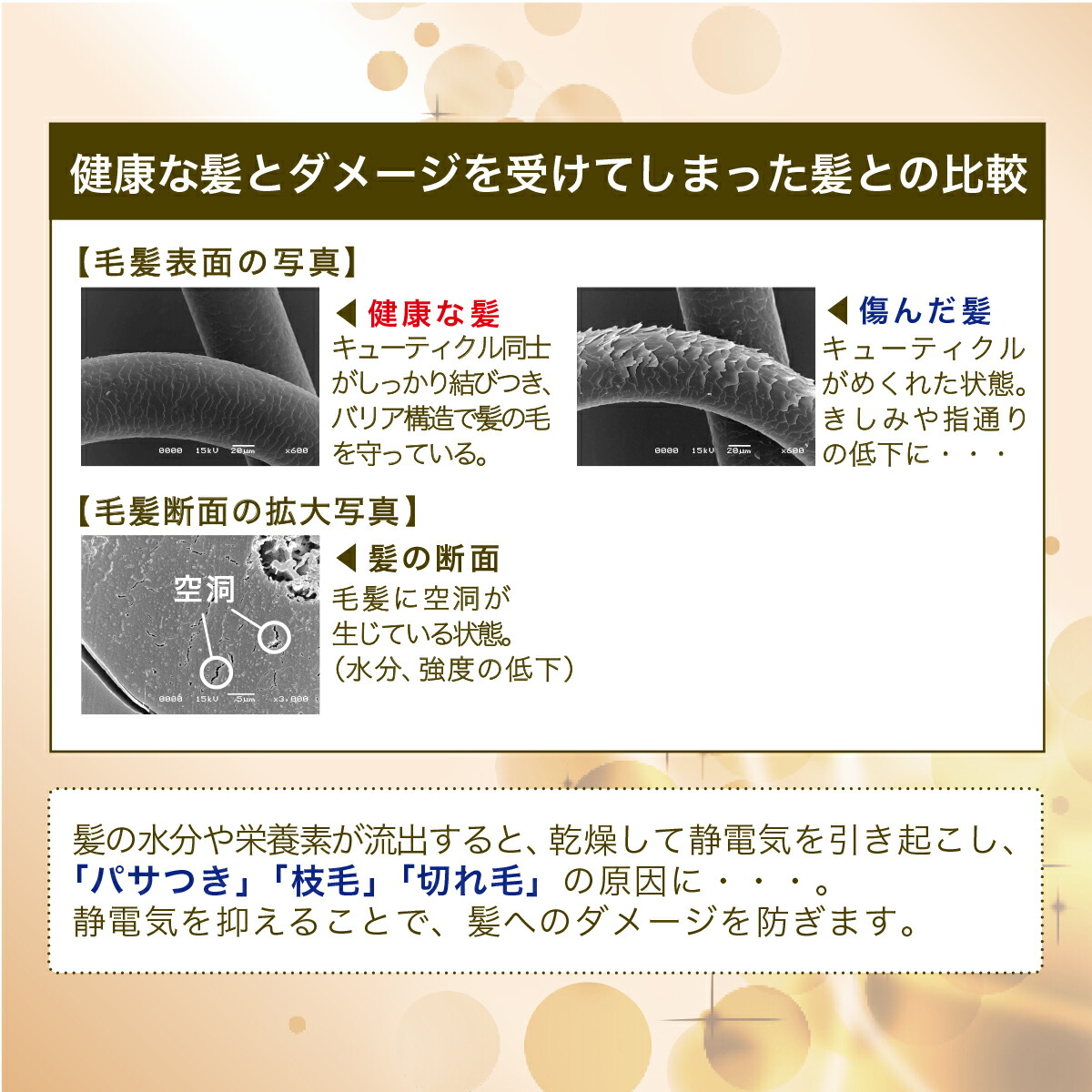 健康な髪とダメージを受けた髪の比較