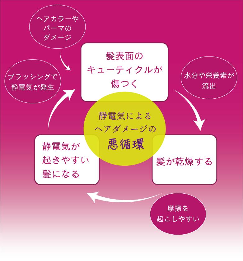 静電気によるヘアダメージの悪循環