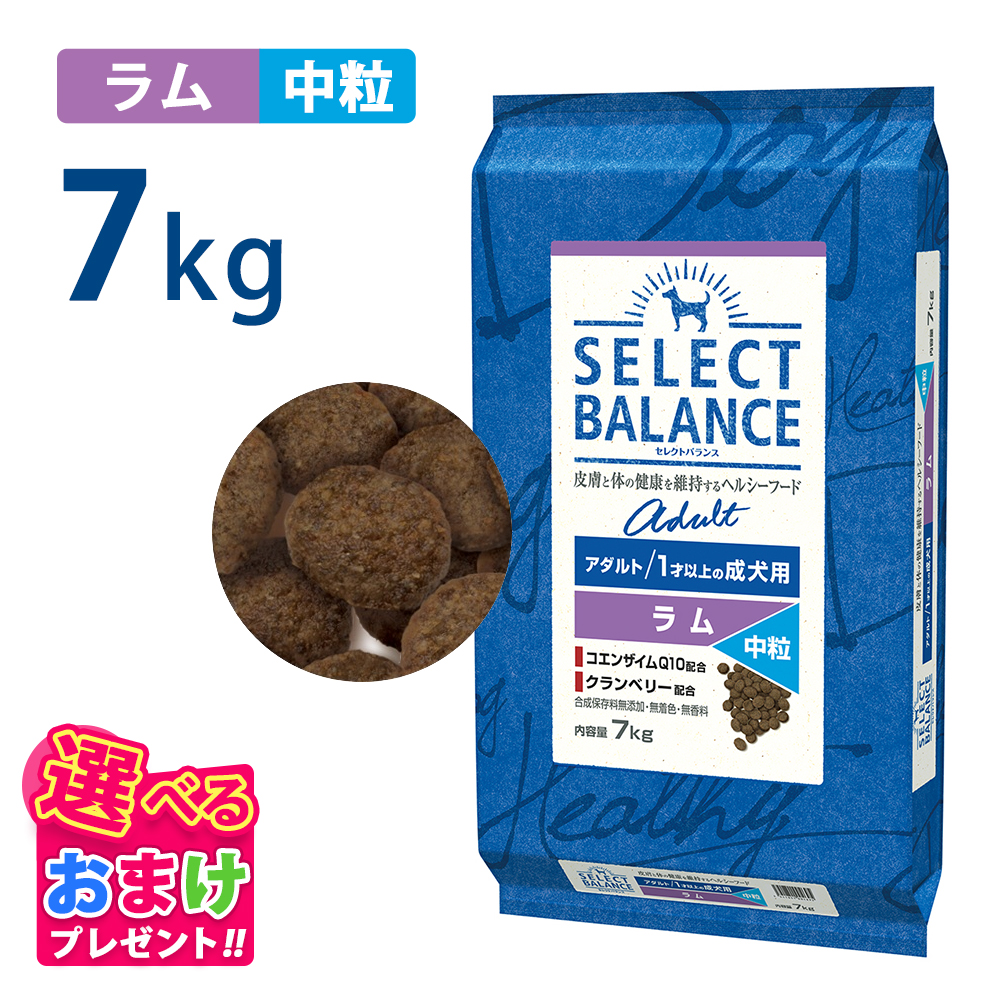SELECT BALANCE セレクトバランス アダルト ラム 中粒 7kg 7キロ 成犬