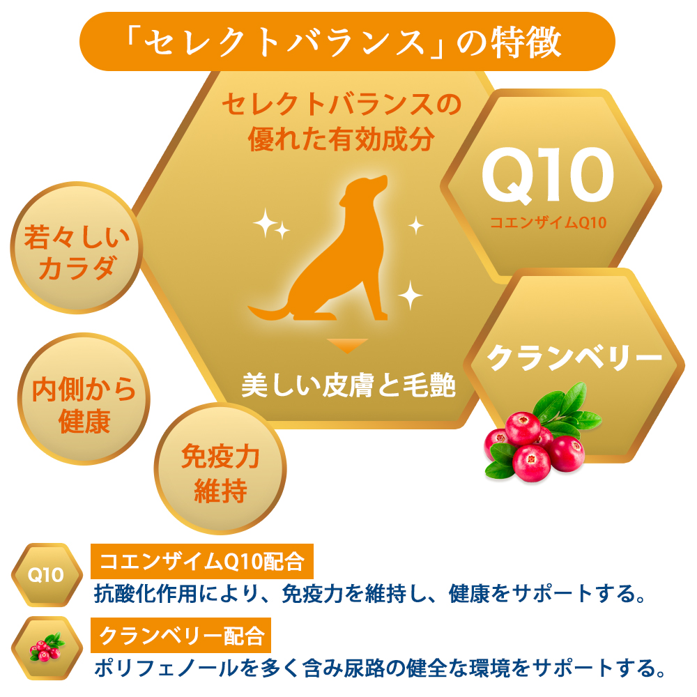 SELECT BALANCE セレクトバランス スリム 旧ライト チキン 小粒 3kg 3