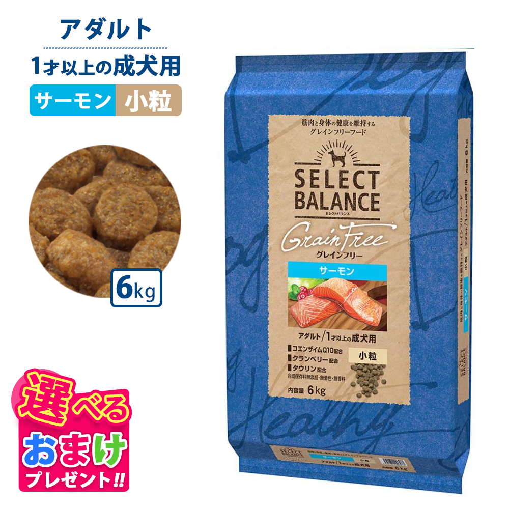 セレクトバランス　グレインフリー　アダルトサーモン　小粒　6kg SELECT BALANCE セレクトバランス グレインフリー アダルト