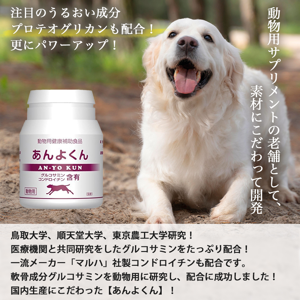 おまけ付き あんよくん 犬 イヌ 成犬 猫 ネコ ペット 動物