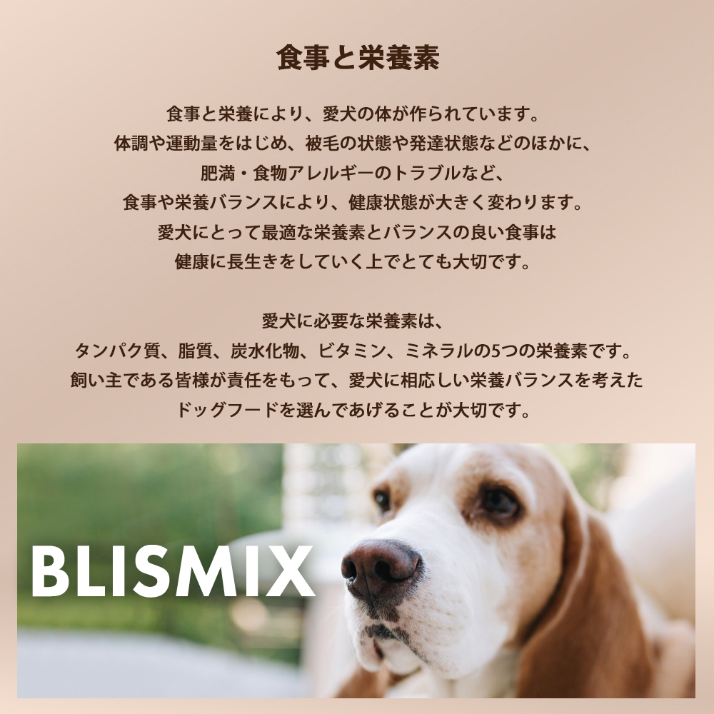 BLISMIX（ブリスミックス） おまけ付き ドッグ ポーク 小粒 成犬